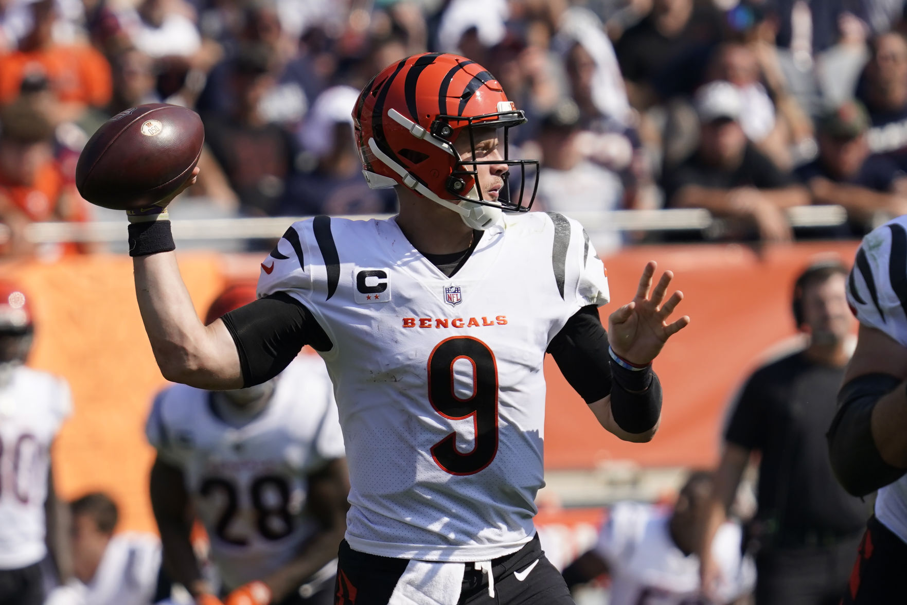 Bengals Bears Football